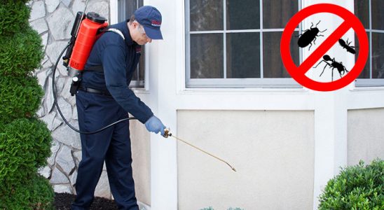 Arnavutköy Bit İlaçlama böcek ilaçlama ve haşere kontrolü — ilaclama-tr.com